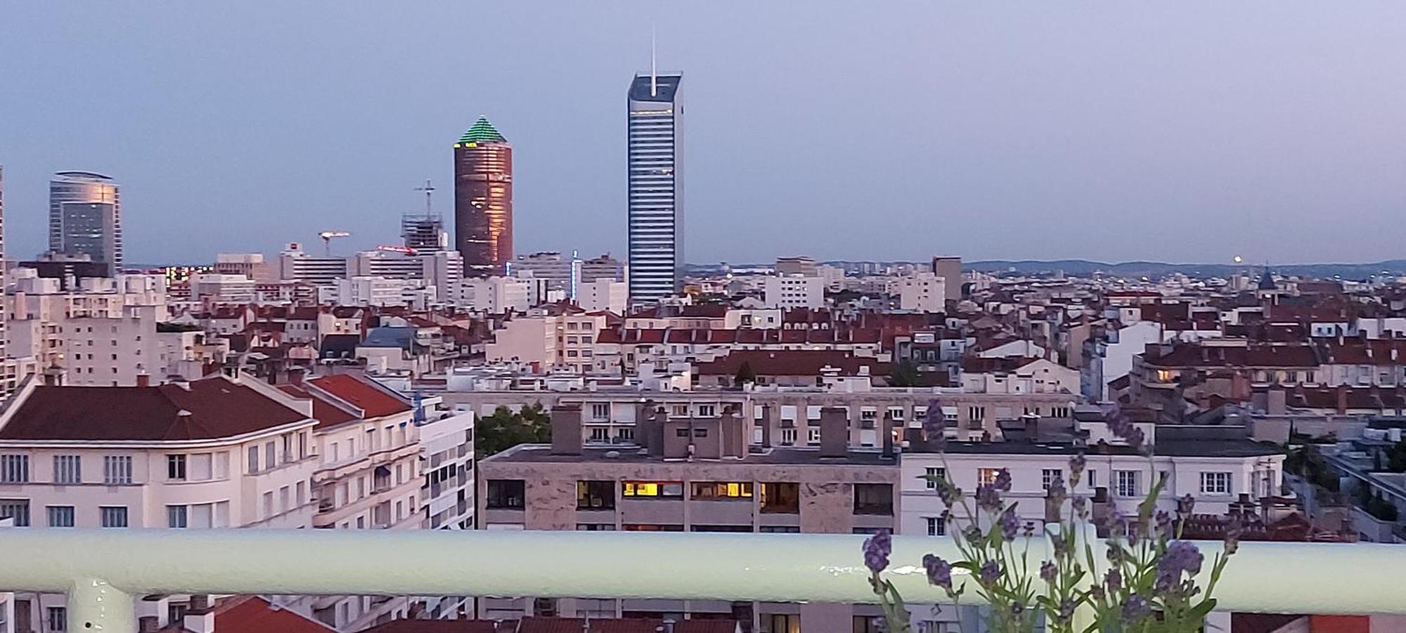 Plein Sud Terrasse Climatisation Garage Netflix Lejlighed Lyon Værelse billede
