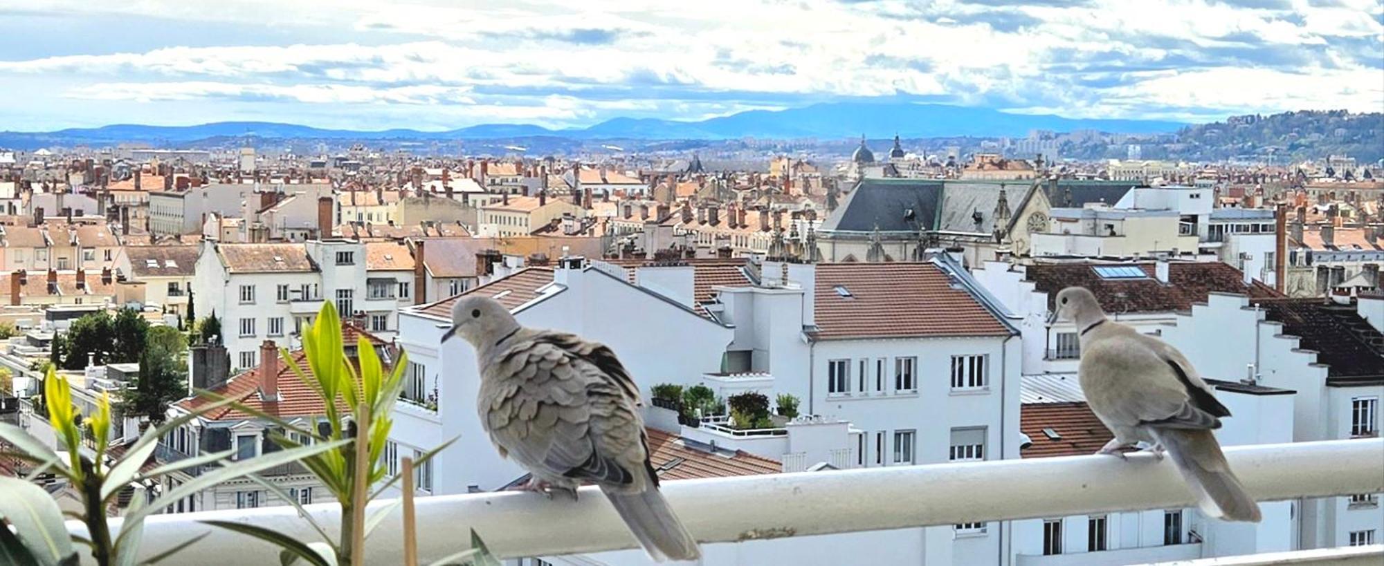Plein Sud Terrasse Climatisation Garage Netflix Lejlighed Lyon Eksteriør billede
